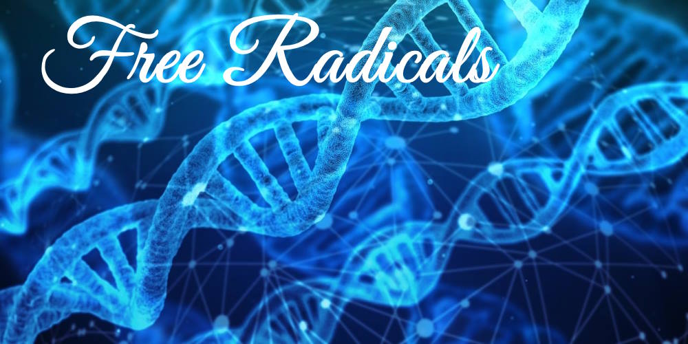 DNA and Free Radicals