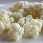 kefir grains 150x150